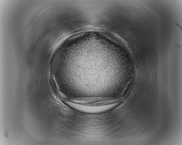 X0000100391415200806201703