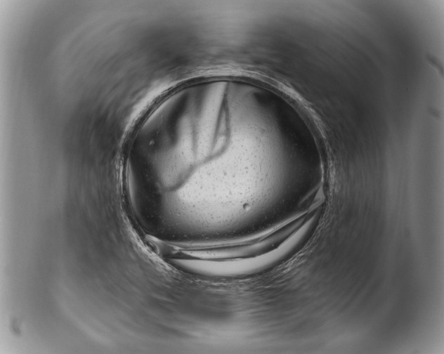 X0000100391416200806201703