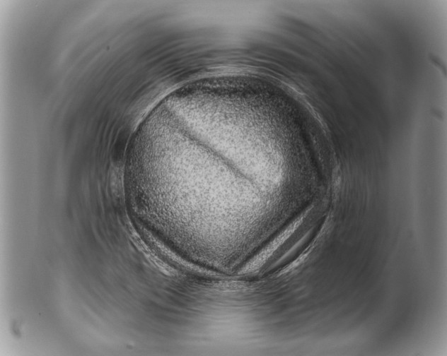 X0000100391417200806201703