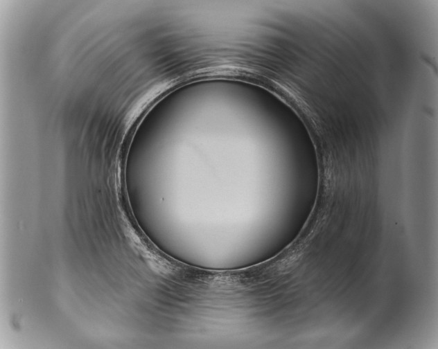 X0000100391418200806201703