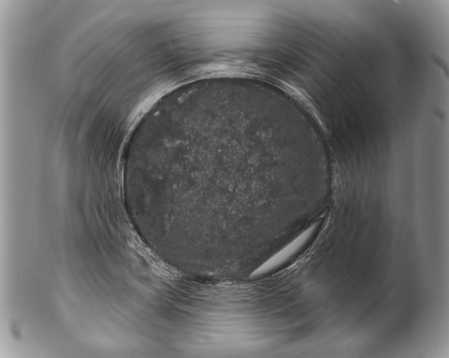 X0000100391419200806201703