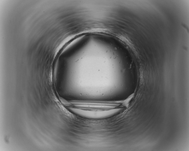 X0000100391420200806201703