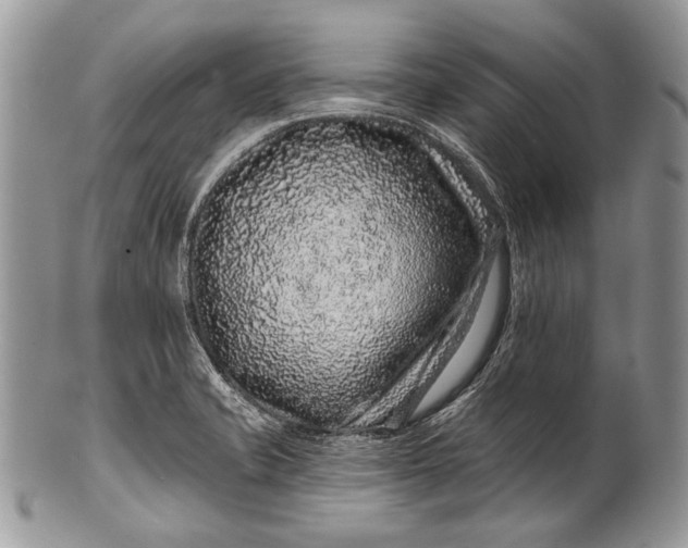 X0000100391421200806201703