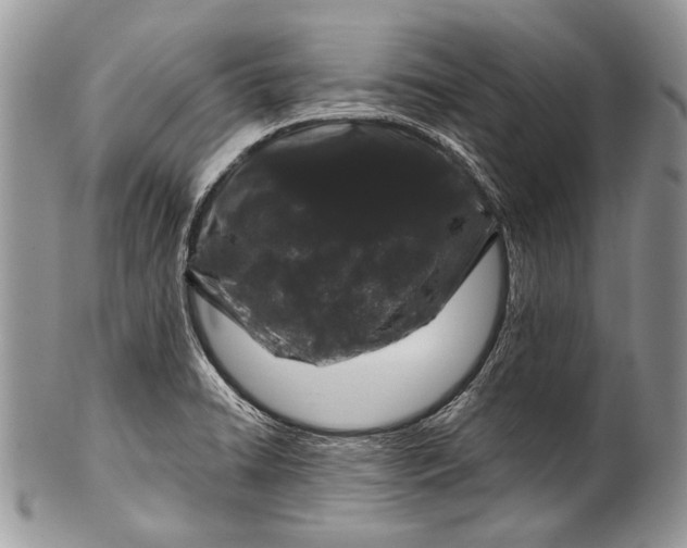 X0000100391422200806201703