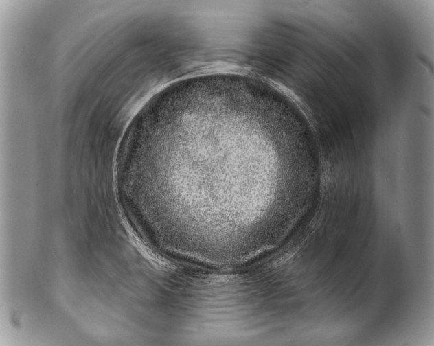 X0000100391423200806201703