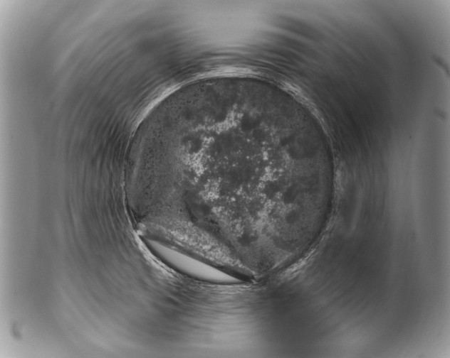 X0000100391425200806201703