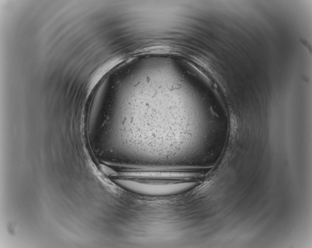 X0000100391426200806201703