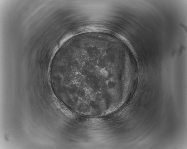 X0000100391427200806201703