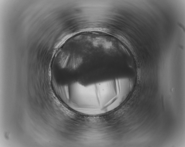 X0000100391428200806201703