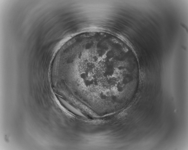 X0000100391429200806201703