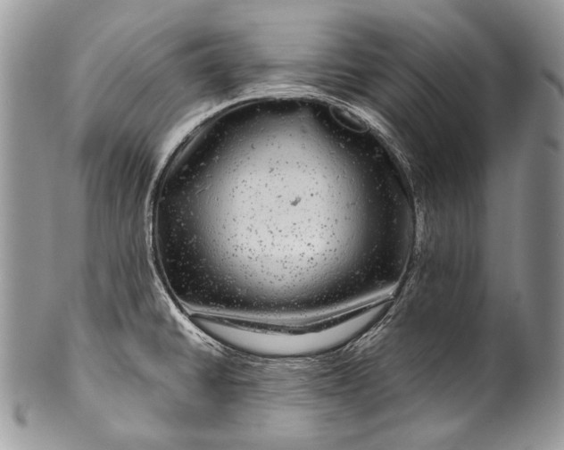 X0000100391430200806201703