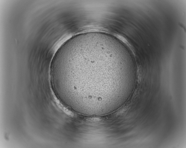 X0000100391431200806201703