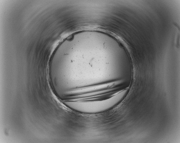 X0000100391432200806201703