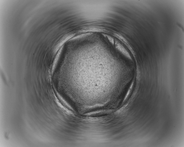 X0000100391433200806201703