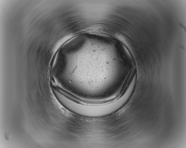 X0000100391434200806201703