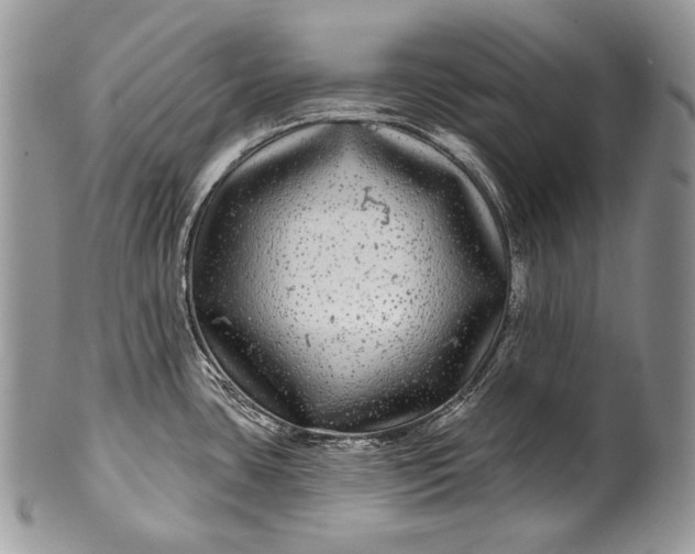 X0000100391435200806201703