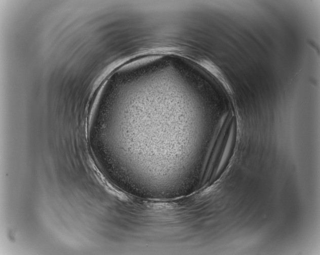 X0000100391436200806201703