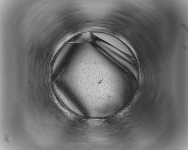 X0000100391437200806201703