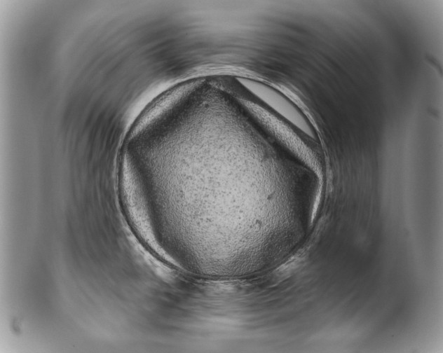 X0000100391438200806201703