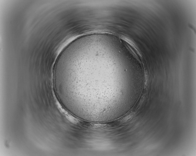 X0000100391439200806201703