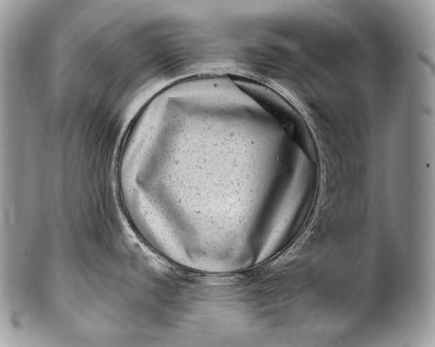 X0000100391440200806201703