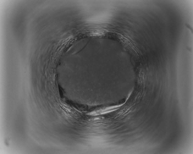 X0000100391441200806201703