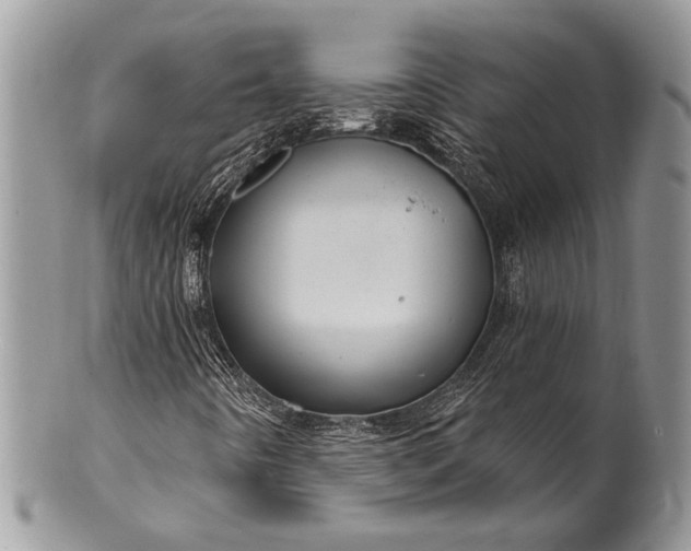 X0000100391442200806201703