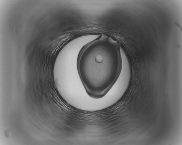 X0000100391444200806201703