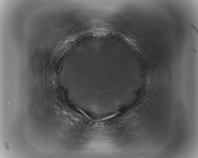 X0000100391445200806201703