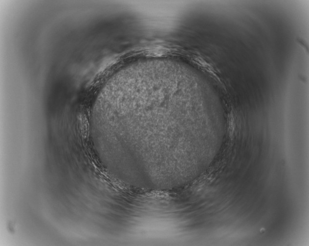 X0000100391446200806201703