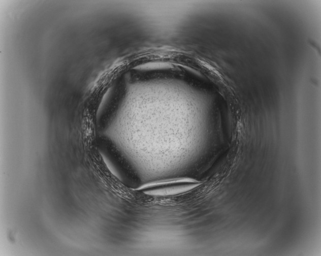 X0000100391447200806201703