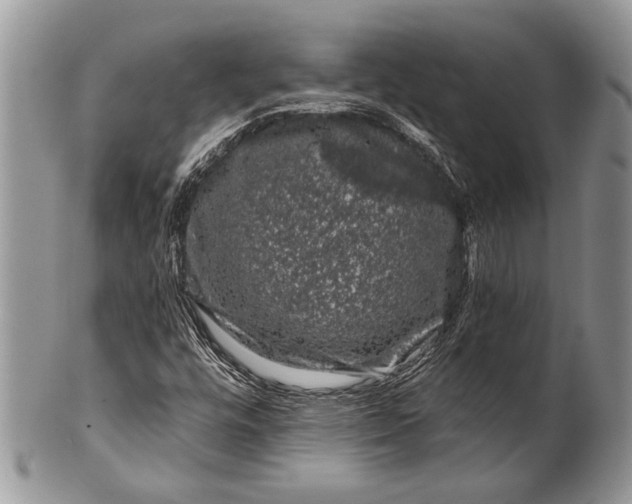 X0000100391448200806201703