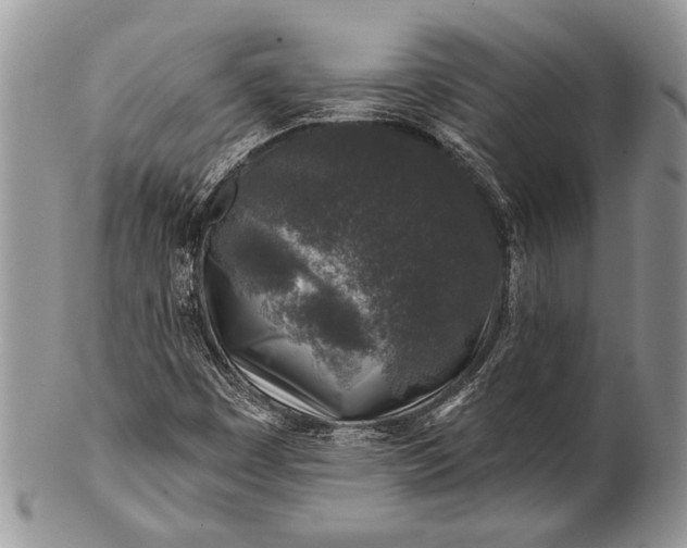 X0000100391449200806201703