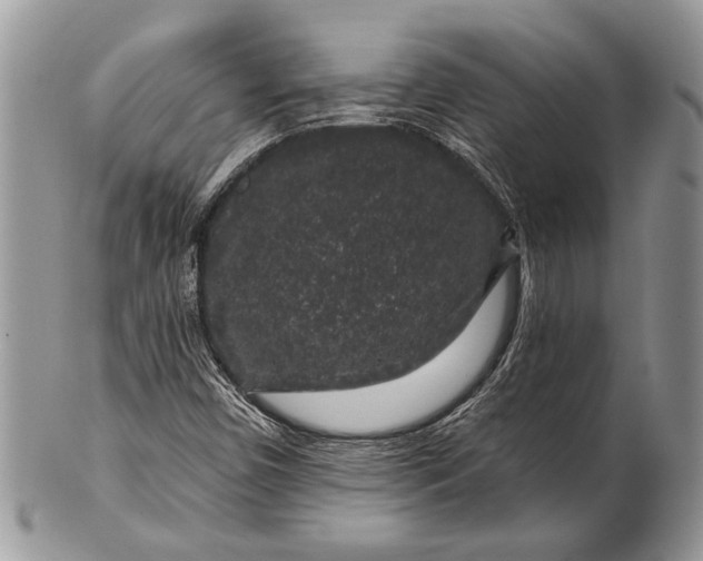 X0000100391450200806201703