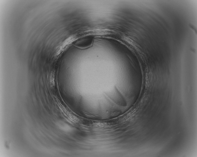 X0000100391451200806201703