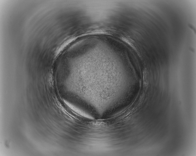 X0000100391452200806201703