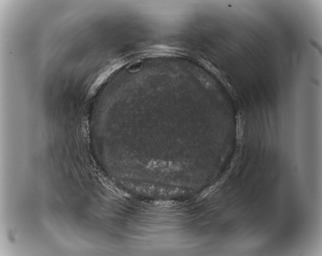 X0000100391453200806201702