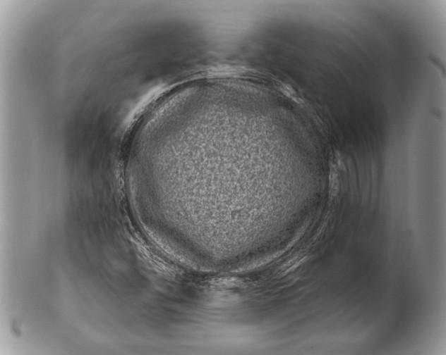 X0000100391454200806201702