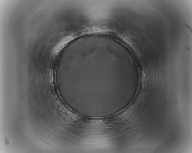 X0000100391455200806201702