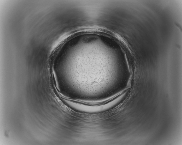 X0000100391456200806201702