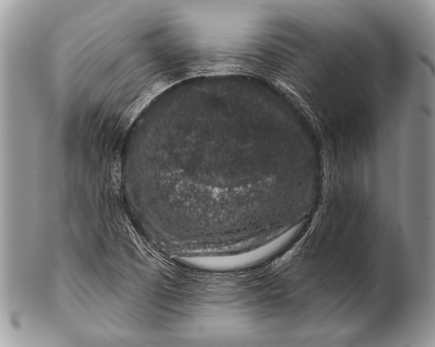 X0000100391457200806201702