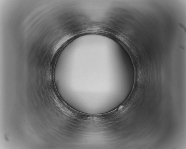 X0000100391458200806201702