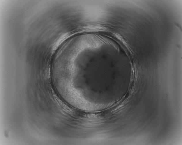 X0000100391459200806201702