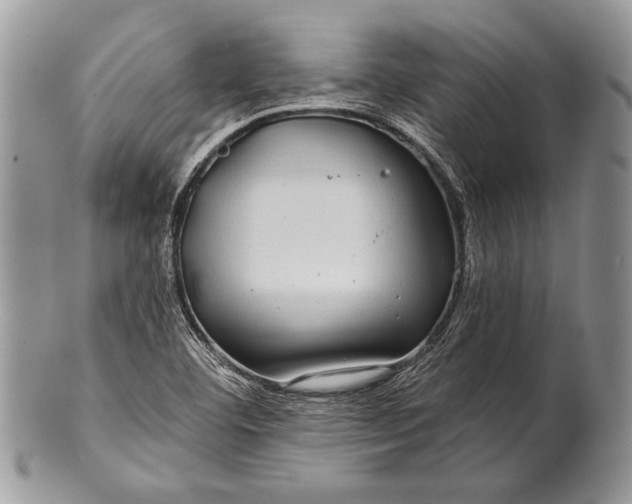 X0000100391460200806201702