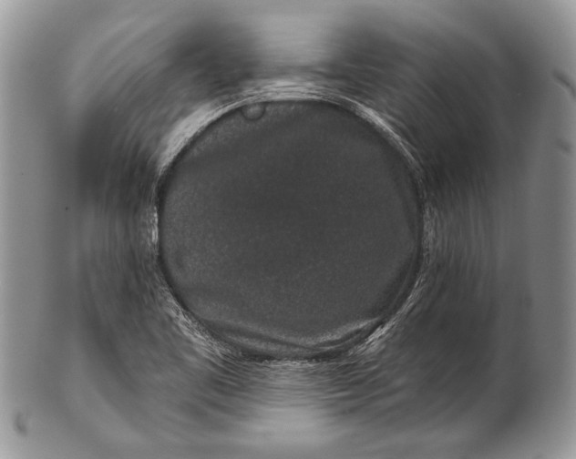 X0000100391461200806201702