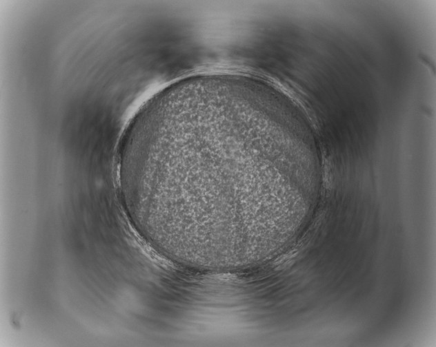 X0000100391462200806201702