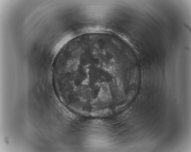 X0000100391463200806201702