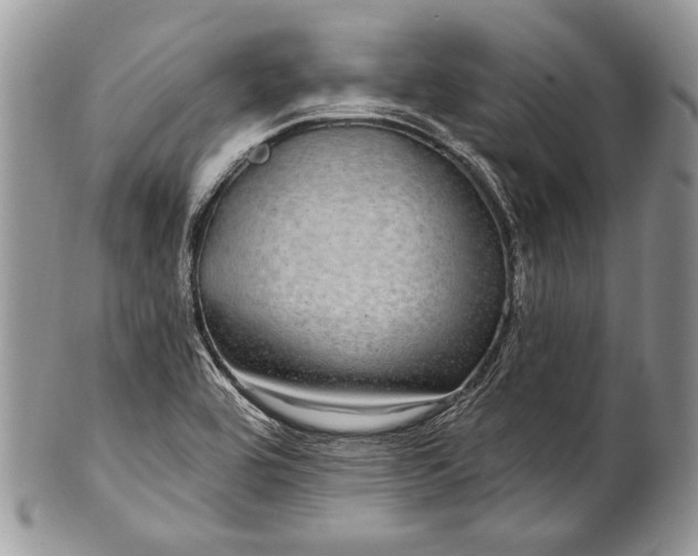 X0000100391464200806201702