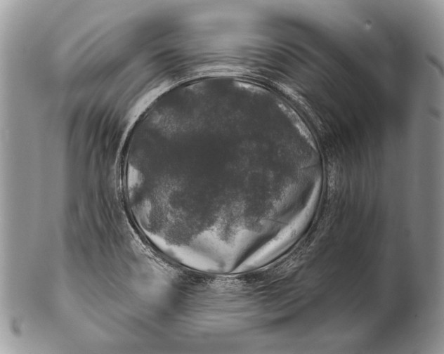 X0000100391466200806201702