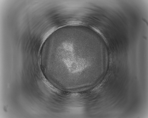 X0000100391467200806201702